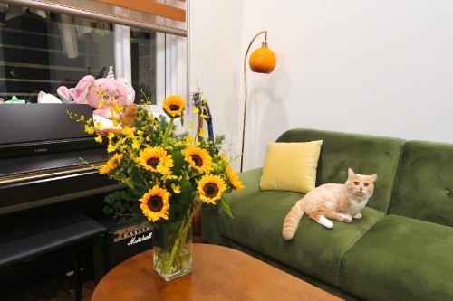 CHUNG CƯ KHÁNH HỘI 2