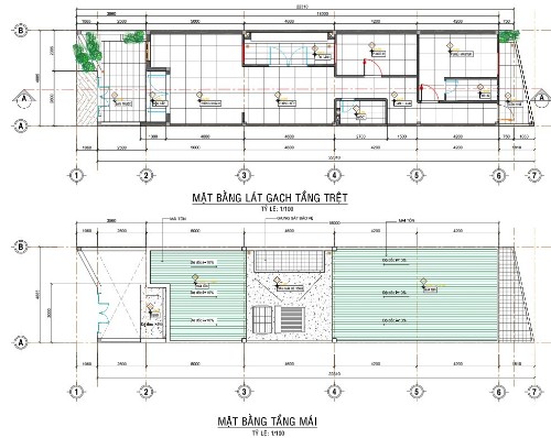 A LIEM'S HOUSE